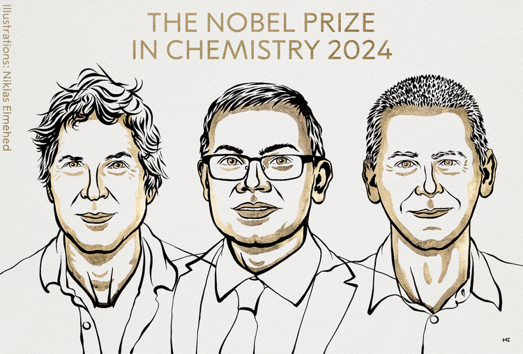 The Nobel Committee 2024 Puts the Spotlight on AI and Machine Learning