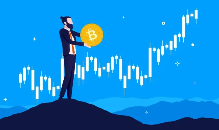 Who Owns the Most Bitcoin- Let's Review the Biggest BTC HODLers
